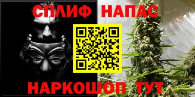 индика Кулебаки