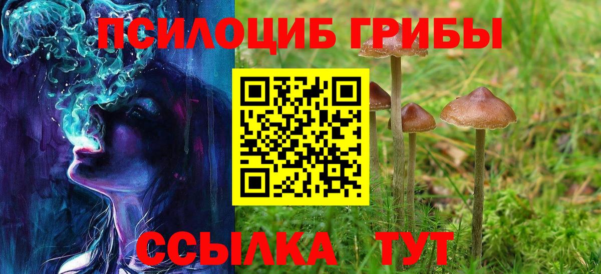 купить   Галлюциногенные грибы мухоморы  Вход с VPN  Чехов  Галлюциногенные грибы мицелий 